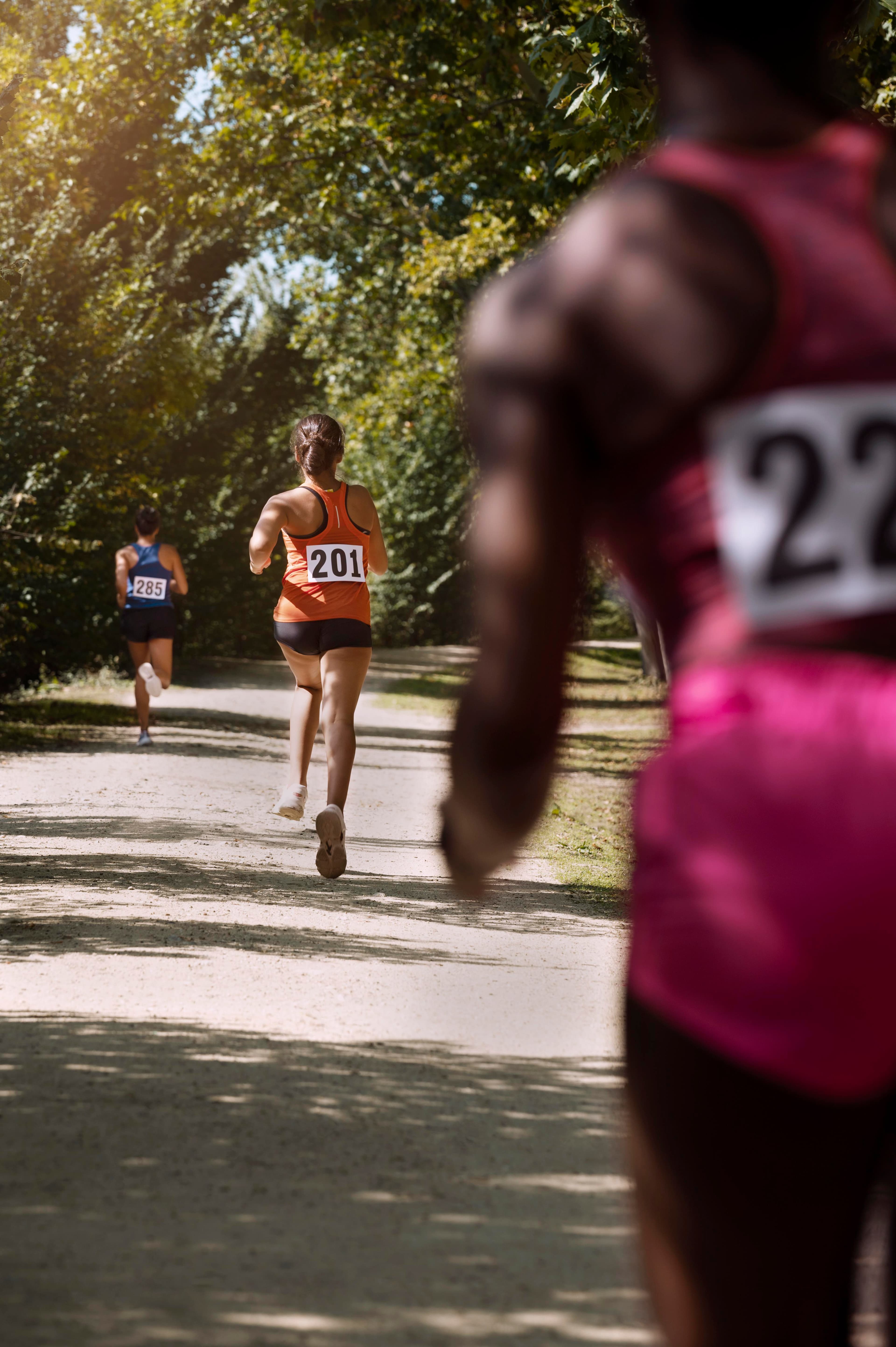 Teilnehmer bei einem Cross-Country-Lauf